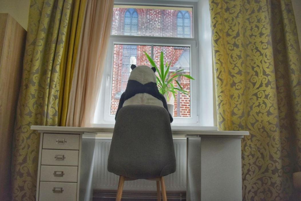 タルトゥPanda House - Luxury In Old Townアパートメント エクステリア 写真